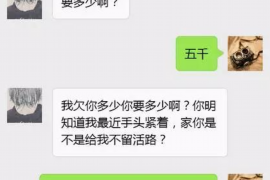 枣强债务清欠服务